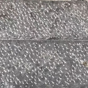 菠蘿面青石板